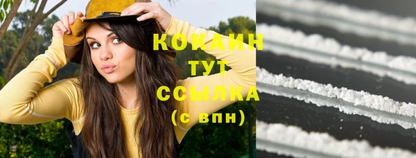 гидра Корсаков