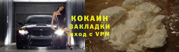 гидра Корсаков