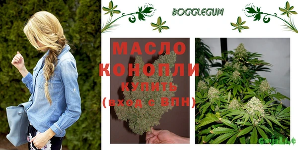 гидра Корсаков