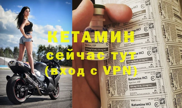 гидра Корсаков