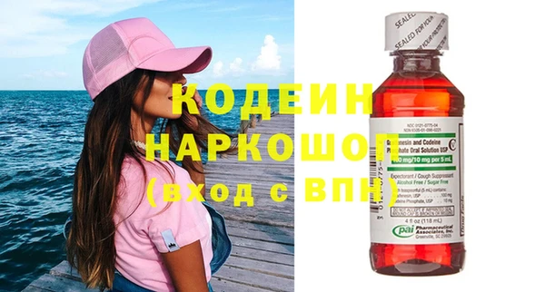 гидра Корсаков