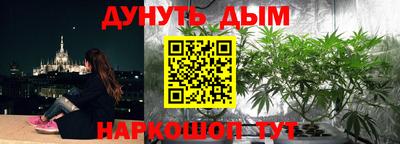 2c-b Камышлов