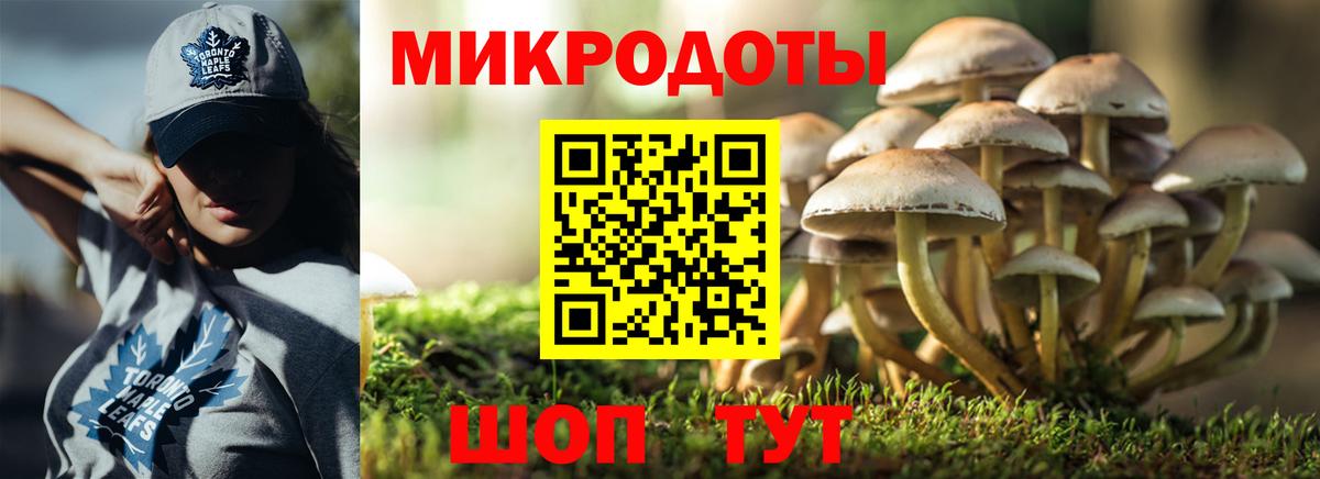 как найти закладки  Галлюциногенные грибы Cubensis  Галлюциногенные грибы Psilocybine cubensis  Вход с VPN  Ковров 